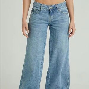 Pacsun Casey Astrid Low Rise Baggy Jeans